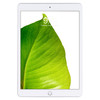 Apple iPad 8th Gen Silver 10.2" 32GB Wi-Fi / Cellular Touchscreen Tablet MYN52LL/A (2021) A2428 - Grade C