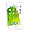 Apple iPad 9th Gen Silver 10.2" 64GB Wi-Fi / Cellular Touchscreen Tablet MK673LL/A (2021) A2603 - Grade B