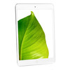 Apple iPad Mini 5th Gen Silver 7.9" 256GB Wi-Fi Touchscreen Tablet MUU52LL/A (2019) A2133 - Grade B