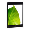 Apple iPad Mini 5th Gen Space Gray 7.9" 64GB Wi-Fi / Cellular Touchscreen Tablet MUXF2LL/A (2019) A2126 - Grade C