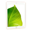 Apple iPad 5th Gen Gold 9.7" 128GB Wi-Fi Touchscreen Tablet MPGW2LL/A (2017) A1822 - Grade B