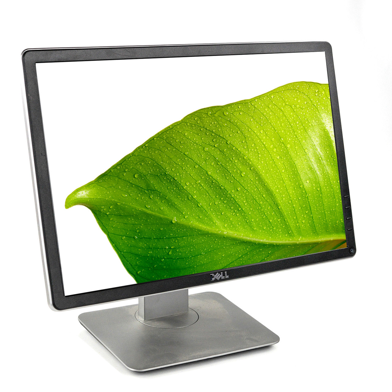 Dell Professional P2016 20