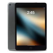 Apple iPad Mini 5th Gen Space Gray 7.9" 64GB Wi-Fi Touchscreen Tablet MUQW2LL/A (2019) A2133 - Grade B