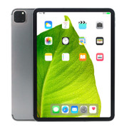 Apple iPad Pro 2nd Gen Space Gray 11" 256GB Wi-Fi / Cellular Touchscreen Tablet MXEW2LL/A A2068 (2020) - Grade C