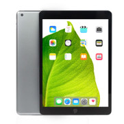 Apple iPad 9th Gen Space Gray 10.2" 256GB Wi-Fi Touchscreen Tablet MK2N3LL/A (2021) A2602 - Grade C