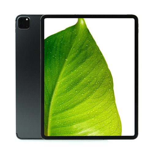Apple iPad Pro 5th Gen Space Gray 12.9" 128GB Wi-Fi / Cellular Touchscreen Tablet MHNR3LL/A (2021) A2379 - Grade C