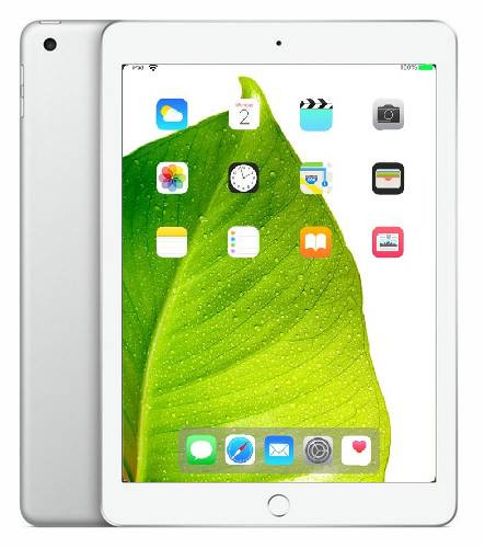 Apple iPad 9th Gen Silver 10.2" 256GB Wi-Fi / Cellular Touchscreen Tablet MK6A3LL/A (2021) A2603 - Grade C