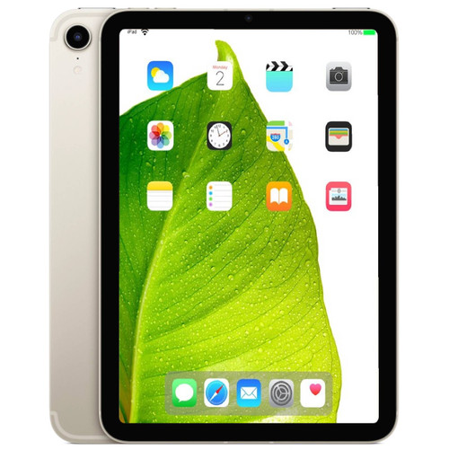 Apple iPad Mini 6th Gen Starlight 8.3" 256GB Wi-Fi Touchscreen Tablet MK7V3LL/A (2021) A2567 - Grade B