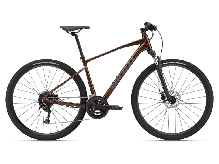 GIANT ROAM 2 DISC (HEMATITE)