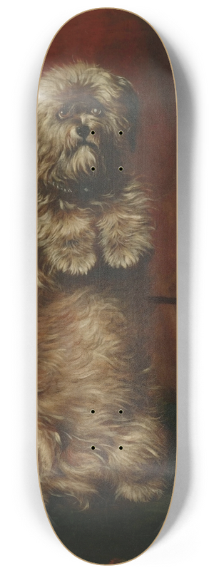 Henry Barraud - Sit Up Sir; Ginger 8.25 inch art skate deck