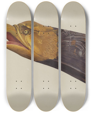 Triptych art skateboard deck of Frances Cohen Eagle by Frances Cohen