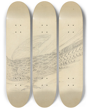 Triptych art skateboard deck of James Sowerby A Parrot 2 by James Sowerby (1757-1822)