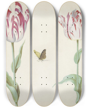 Triptych art skateboard deck of Jacob Marrel Twee Tulpen Met Vlinder_2 by Jacob Marrel (1613-1681)
