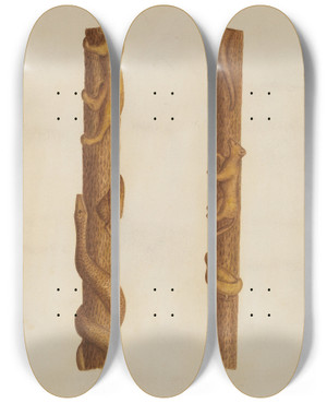 Triptych art skateboard deck of William Mcauley Walking Stick_2 by William Mcauley