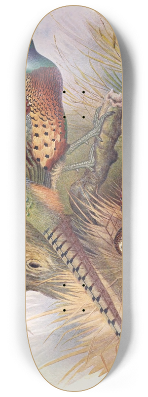 Henry Jones - Kweichow Pheasant 8.25 inch art skate deck Henry Jones - Kweichow Pheasant 8.25 inch art skate deck