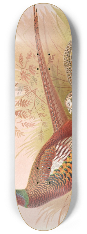 Henry Jones - Prince Of Waless Pheasant 8.25 inch art skate deck