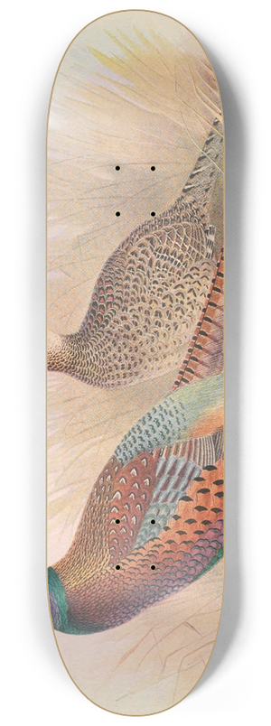 Henry Jones - Strauchs Pheasant 8.25 inch art skate deck Henry Jones - Strauchs Pheasant 8.25 inch art skate deck