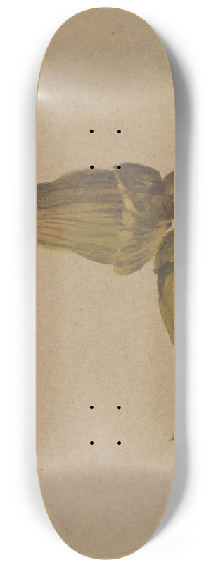 Henryka Beyer - Study of hazelnuts 8.25 inch art skate deck