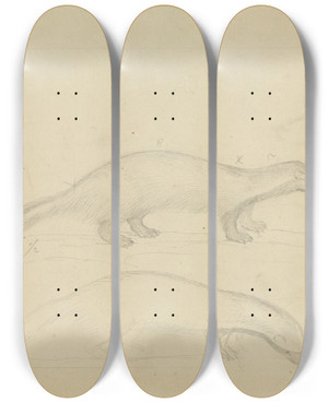 Triptych art skateboard deck of James Sowerby Two Weasels_2 by James Sowerby (1757-1822)
