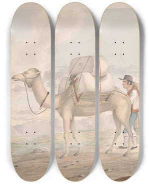 Triptych art skateboard deck of Alfred Diston Loaded Camel by Alfred Diston (1793-1861)