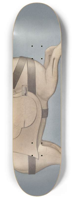 Henry Murphy - Carousel Horse 8.25 inch art skate deck