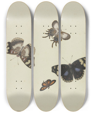 Triptych art skateboard deck of Herman Henstenburgh Four Butterflies by Herman Henstenburgh (1667-1726)