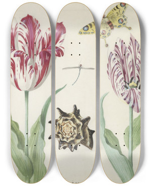 Triptych art skateboard deck of Jacob Marrel Twee Tulpen Met Schelp Waterjuffer En Vlinder by Jacob Marrel (1613-1681)