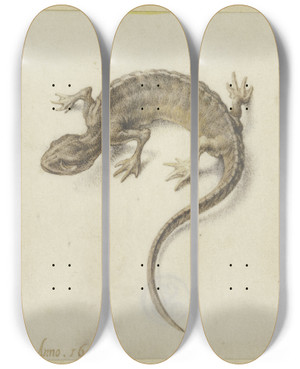 Triptych art skateboard deck of Jacob De Gheyn Ii Lizard by Jacob de Gheyn II (1565-1629)