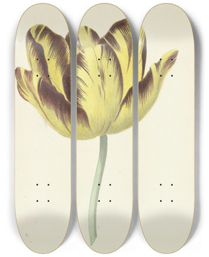 Triptych art skateboard deck of Cornelis Van Noorde Tulp Genaamd Bizard Le Febure No 1 by Cornelis Van Noorde (1731-1795)