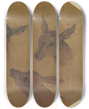 Triptych art skateboard deck of Johann Melchior Roos Three Doe Heads by Johann Melchior Roos (1663-1731)