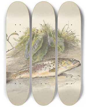 Triptych art skateboard deck of Alfred W Cooper The Burn Tail Piece by Alfred W Cooper