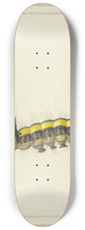 Herman Henstenburgh - A yellow caterpillar 8.25 inch art skate deck