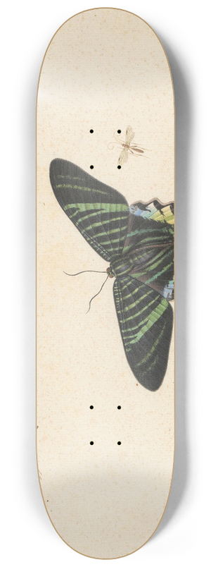 Herman Henstenburgh - Drie vlinders en een wesp of vlieg 8.25 inch art skate deck