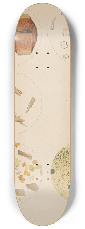 Hermann Rieder - Uric Acid Crystals and Deposits 8.25 inch art skate deck Hermann Rieder - Uric Acid Crystals and Deposits 8.25 inch art skate deck