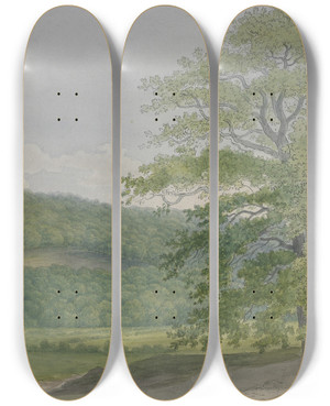 Triptych art skateboard deck of John Abbott Wooded Landscape by John Abbot