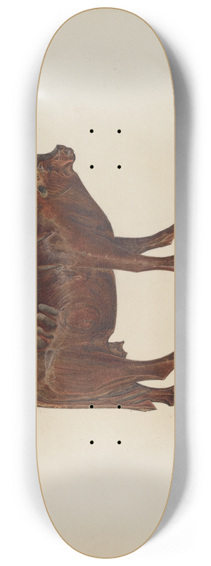 Hester Duany - Toy Cow 8.25 inch art skate deck