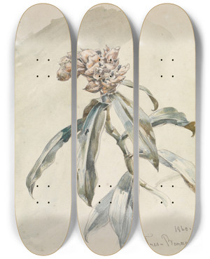 Triptych art skateboard deck of Ferdinand Keller Pflanzenstudie by Ferdinand Keller (1842-1922)