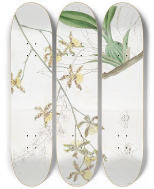 Triptych art skateboard deck of Sydenham Edwards Tallest Oncidium by Sydenham Edwards (1768-1819)