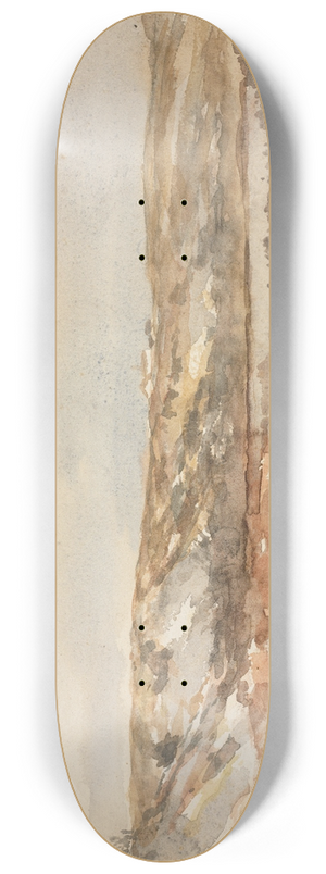 Homer Dodge Martin - Near Newport 8.25 inch art skate deck