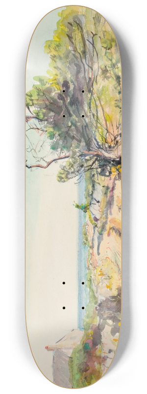 Howard Russell Butler - Untitled II 8.25 inch art skate deck