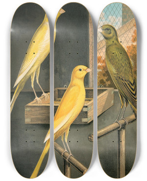Triptych art skateboard deck of W A Blakston Yorkshire Canaries by W A Blakston (19-)