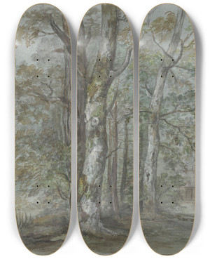 Triptych art skateboard deck of Jan Dasveldt Boomstudie by Jan Dasveldt (1770-1855)