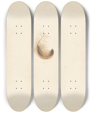 Triptych art skateboard deck of Albertus Steenbergen Studie Van Een Veertje by Albertus Steenbergen (1814-1900)