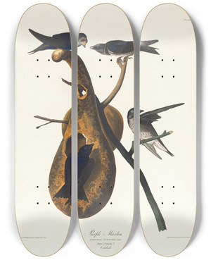Triptych art skateboard deck of John James Audubon Purple Martin by John James Audubon (1785-1851)