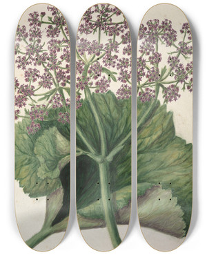 Triptych art skateboard deck of Sarah Featon Untitled by Sarah Featon (1848-1927)