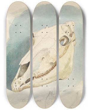 Triptych art skateboard deck of Ferdinand Keller Studie Eines Tierschdels_1 by Ferdinand Keller (1842-1922)