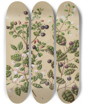 Triptych art skateboard deck of Sarah Featon Rohutu Ramarama by Sarah Featon (1848-1927)