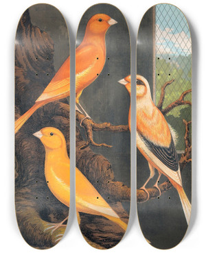 Triptych art skateboard deck of W A Blakston Norwich Canaries_2 by W A Blakston (19-)