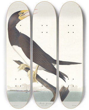 Triptych art skateboard deck of John James Audubon Booby Gannet by John James Audubon (1785-1851)