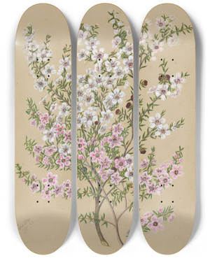 Triptych art skateboard deck of Sarah Featon Manuka by Sarah Featon (1848-1927)